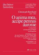 O anima mea, accipe pennas aurorae 