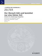 Der Mensch lebt und bestehet nur eine kleine Zeit Download