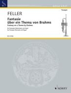 Fantasie über ein Thema von Brahms Download