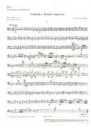 Andante und Rondo ungarese Download