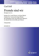Fremde sind wir Download