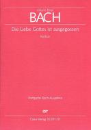 Die Liebe Gottes ist ausgegossen 