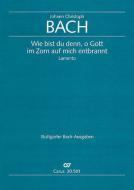 Wie bist du denn, o Gott 