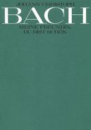 Meine Freundin, du bist schön 