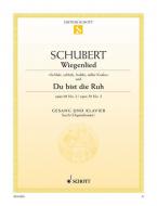 Wiegenlied / Du bist die Ruh Download