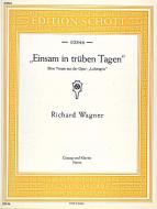 Einsam in trüben Tagen Download