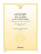 Ach, ich fühl's, es ist verschwunden Download