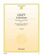Liebestraum Nr. 1: Hohe Liebe Download