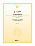 Liebestraum Nr. 3: O lieb', so lang du lieben kannst Download