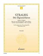 Der Zigeunerbaron Download