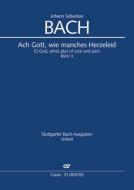 Ach Gott, wie manches Herzeleid Standard