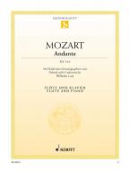 Andante 