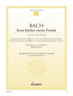 Jesus bleibet meine Freude Download
