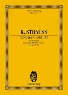 Concert Ouvertüre c-Moll o. Op. AV. 80 Download