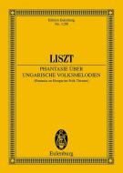 Phantasie über ungarische Volksmelodien 
