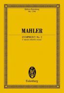 Sinfonie Nr. 2 c-Moll Download