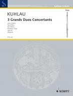 Trois Grands Duos Concertants op. 87 Download