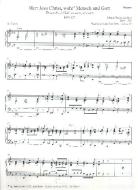 Herr Jesu Christ, wahr' Mensch und Gott Download