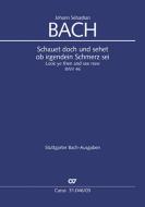 Schauet doch und sehet BWV 46 Download