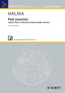 Pod Javorinú (Unter Javorina) Download