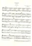 Concerto D-Dur op. 10/3 RV 428/PV 155 Download