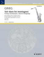 Abend im Hochgebirge op. 68/4 Download