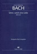 Sehet, welch eine Liebe hat uns der Vater erzeiget Download