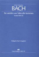 Sie werden aus Saba alle kommen 