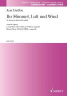 Ihr Himmel, Luft und Wind Download