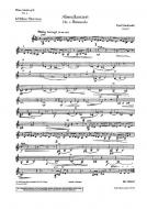 Plöner Musiktag D: Abendkonzert Nr. 2 Download