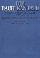 Erfreute Zeit im neuen Bunde Download