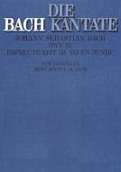 Erfreute Zeit im neuen Bunde Download