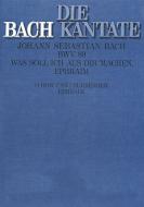 Was soll ich aus dir machen, Ephraim Download