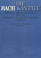 Was soll ich aus dir machen, Ephraim Download