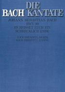 Es reisset euch ein schrecklich Ende Standard