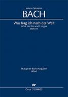 Was frag ich nach der Welt Standard