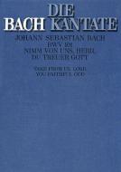 Nimm von uns, Herr, du treuer Gott Download