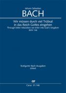 Wir müssen durch viel Trübsal Standard