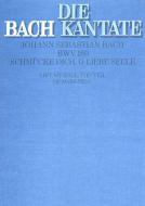 Schmücke dich, o liebe Seele Download