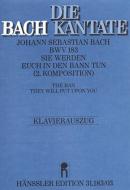 Sie werden euch in den Bann tun (II) 