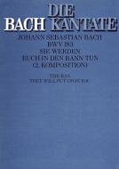 Sie werden euch in den Bann tun (II) Download