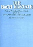 Erwünschtes Freudenlicht Download