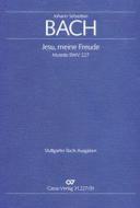 Jesu, meine Freude BWV 227 Download