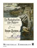 Eine Mondnacht auf dem Lago Maggiore 