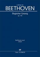 Elegischer Gesang op. 118 Standard