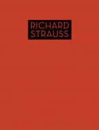 Lieder mit Klavierbegleitung 