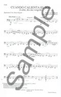 Cuando Calienta El Sol / the Great Pretender 