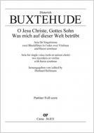 Was mich auf dieser Welt betrübt Standard