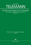 Ich hebe meine Augen auf zu den Bergen 