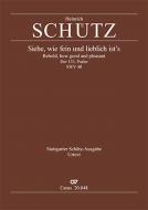 Siehe, wie fein und lieblich ist's 